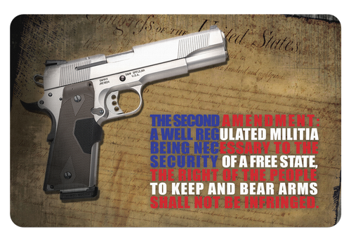 TekMat TEKR172AMEND Right To Bear Arms Cleaning Mat Multi-Color Rubber 11"x17" 2nd Amendment