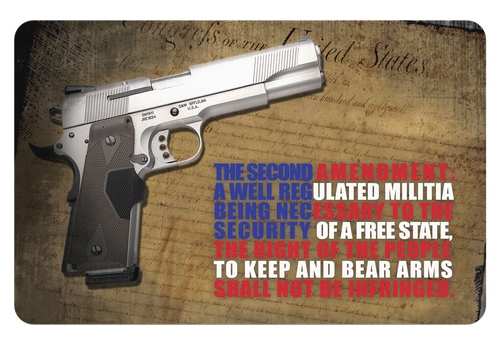TekMat TEKR172AMEND Right To Bear Arms Cleaning Mat Multi-Color Rubber 11"x17" 2nd Amendment