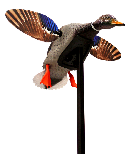Mojo Outdoors HW24703P Elite Series Mini Mallard Drake Species Multi Color Plastic