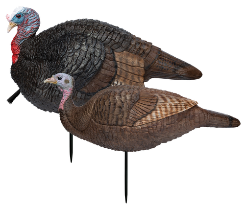 Primos 69075 Lil' Gobblestopper Jake & Hen Combo Turkey Species Multi Color