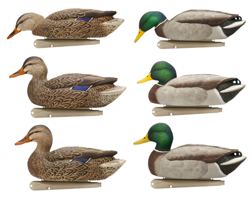 Avian X AVXAVX8076 Topflight Fusion Mallards Multi-Color -6 Pack