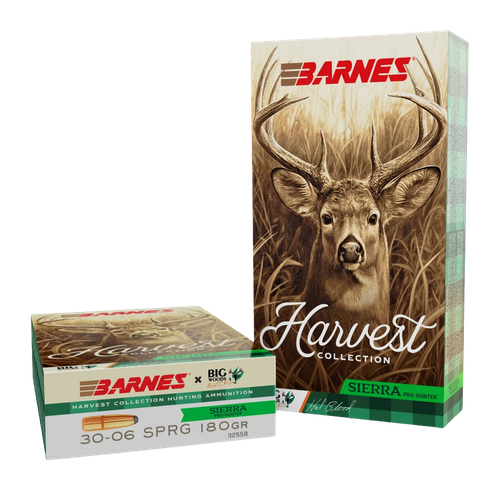 BRNS 32558  SIERRA PRO-HUNTER RN 3006 180GR  20/10