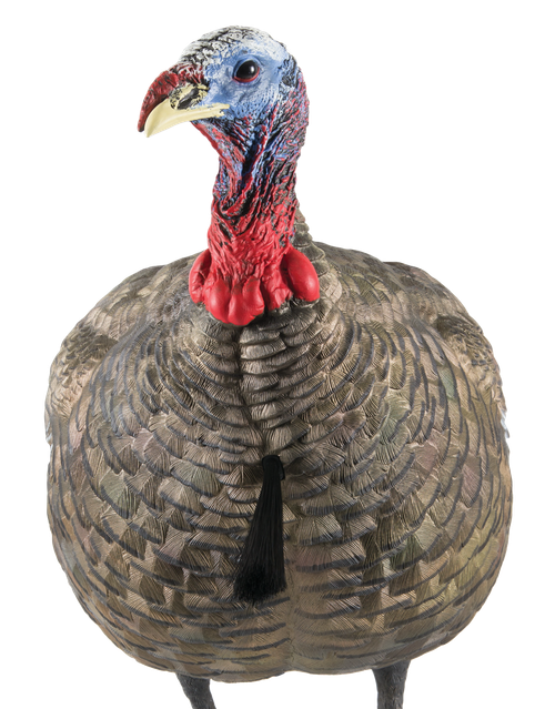 Avian X AVXAVX8003 LCD Quarter-Strut Jake Turkey Species Multi Color Dura-Rubber