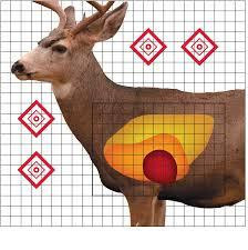 Pro-Shot Mule Deer Sight In Target 25" x 25" 5/ct