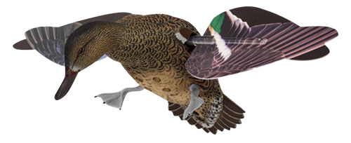 Avian X AVXPFLHT PowerFlight Hen Green-Winged Teal spinning wing decoy