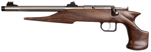 Chipmunk 40101 Hunter  Youth Frame 22 S/L/LR Single Shot 9" Threaded Stainless Steel Barrel, Walnut Frame, EZ Loader