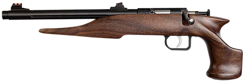 Chipmunk 40001 Hunter  Youth Frame 22 S/L/LR Single Shot 9" Threaded Blued Steel Barrel, Walnut Frame, EZ Loader