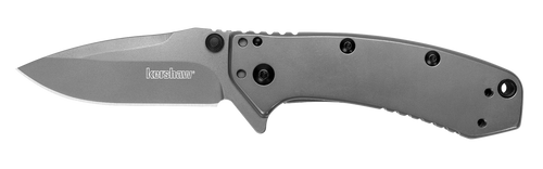 Kershaw 1555TI Cryo  2.75" Folding Drop Point Plain Gray TiN 8Cr13MoV SS Blade Gray PVD Stainless Steel Handle Includes Pocket Clip