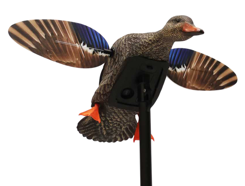 Mojo Outdoors HW24713P Elite Series Mini Hen Mallard Species, Multi Color, Plastic, Features Remote Control