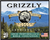 Grizzly Ammo GCSUB1   45-70Gov 410gr Full Metal Jacket Flat Point 20 Per Box/10 Case