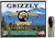 Grizzly Ammo GC10M4   10mmAuto 180gr Jacketed Hollow Point 20 Per Box/10 Case