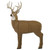 GlenDel Full-Rut Buck w/4-Sided Insert