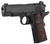 CLT LTWT COMMANDER 45ACP 4.25 OPTIC READY BLUED
