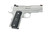 ACP 9MM 4" 10+1 SS9mm