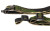 BL FORCE VICKERS 2-PT CMBT SLNG GTS