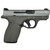 BODYGUARD 2.0 380ACP (1)10&(1)12 MAGS NTS SATIN GUN METAL