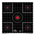 DIRTY BIRD 12'' SIGHT-IN TARGET 100 SHEET PACK