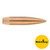 Sierra MatchKing Rifle Bullets (500/ct) .311 cal .311" 174 gr HPBT