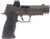 SIG 320AXGF9LEGIONRXX10  P320 9M    3.9 10R OR GRY