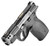 SW PC BODYGUARD 2.0 TS CARRY COMP 380ACP 3.1
