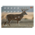 EZ-Aim 15286 Whitetail  Deer Paper Hanging 23" x 35" Multi-Color Includes Pasters 2 Per Pkg