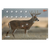 EZ-Aim 15286 Whitetail  Deer Paper Hanging 23" x 35" Multi-Color Includes Pasters 2 Per Pkg