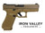 Glock19X V 9mm 4.2" GNS RMR FDE 17/19rd IVS