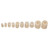 TIPTON CLEANING PELLETS COMPLETE PISTOL KIT