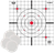 Birchwood Casey BC-37216T EZE-Scorer Thermal Targets Thermal Sight-In Hanging Paper 12" x 12" Black/Red/White