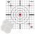 Birchwood Casey BC-37216T EZE-Scorer Thermal Targets Thermal Sight-In Hanging Paper 12" x 12" Black/Red/White