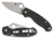 Spyderco C223GP Para 3  2.95" Folding Clip Point Plain Satin CPM S45VN SS Blade/ Black G10 Handle Includes Pocket Clip