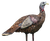 Avian X AVXAVX8006 LCD Lookout Hen Turkey Species Multi Color Dura-Rubber