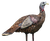 Avian X AVXAVX8006 LCD Lookout Hen Turkey Species Multi Color Dura-Rubber