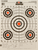 Champion Targets 45726 Score Keeper  Bullseye Paper Hanging 100 yds Pistol/Rifle 14" x 18" Multi-Color 12 PK