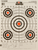 Champion Targets 45726 Score Keeper  Bullseye Paper Hanging 100 yds Pistol/Rifle 14" x 18" Multi-Color 12 PK