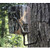 BRO TRAIL CAMERA ECON TREE MOUNT