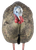Avian X AVXAVX8012 LCD Half-Strut Jake Turkey Species Multi Color Dura-Rubber