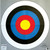 Champion Archery Target 24" Bullseye 2/ct
