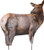 Montana Decoy Co RMEF Cow Elk Decoy