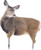 Montana Decoy Co Miss Muley Decoy