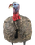 Avian X AVXAVX8003 LCD Quarter-Strut Jake Turkey Species Multi Color Dura-Rubber