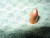 Allstar/Magnus Bullets 9mm .355" 115 gr FMJ 250/ct