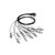Rig'Em Right Xtreme Texas Rigs 36" 30z 12/ct