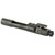 KAK AR15 BCG M16 556/300 CLP BLK