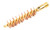 Phosphorus Bronze Brstl Bore Brush .410ga