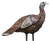 Avian X AVXAVX8006 LCD Lookout Hen Turkey Species Multi Color Dura-Rubber