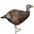 Primos Photoform Leading Hen Turkey Decoy