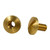 LATIGO BRASS CHICAGO SCREWS, 2 PACK