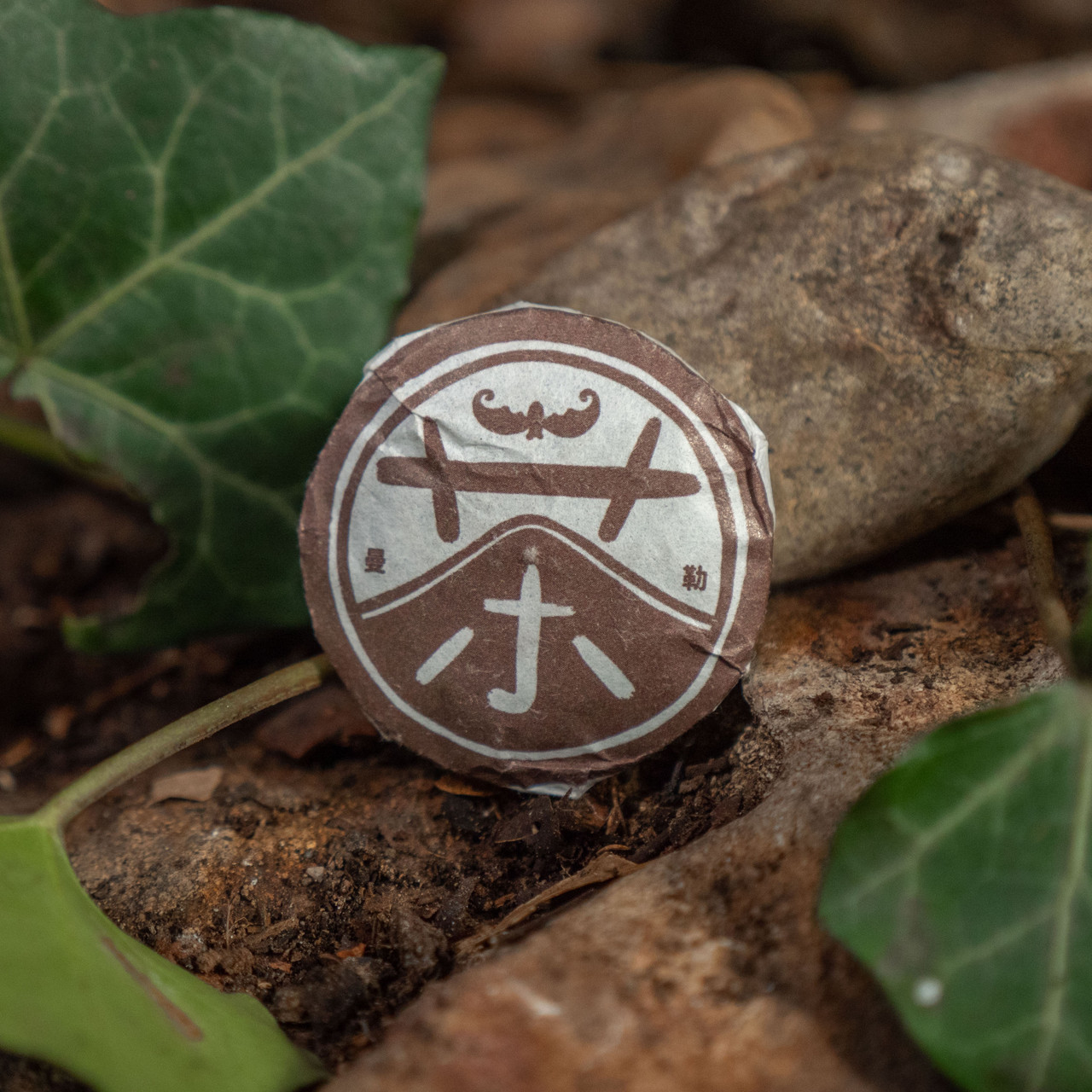 Tea Coins - West China Tea