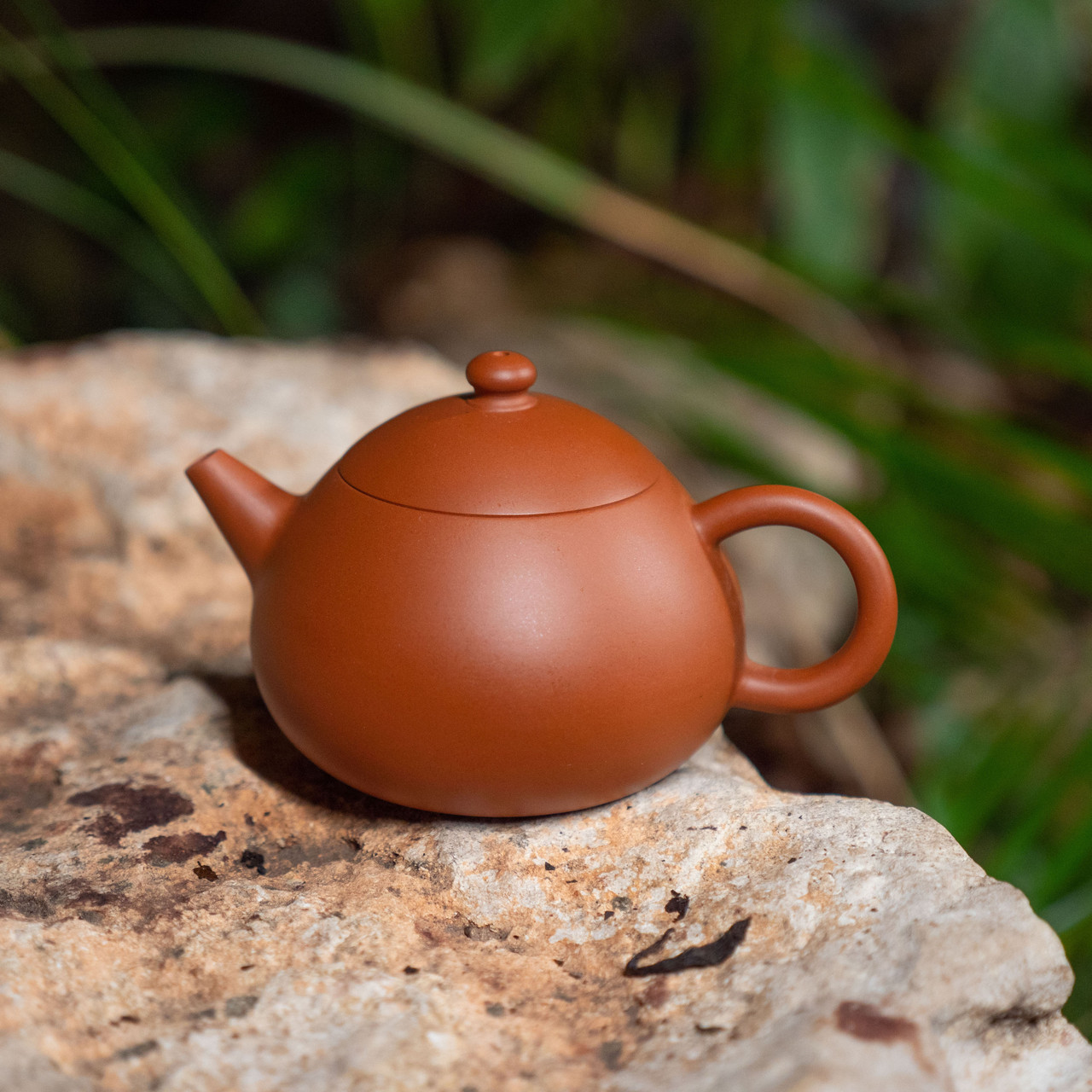 Chaozhou Crimson Clay Pomelo Teapot 潮州朱泥文旦壺- West China Tea